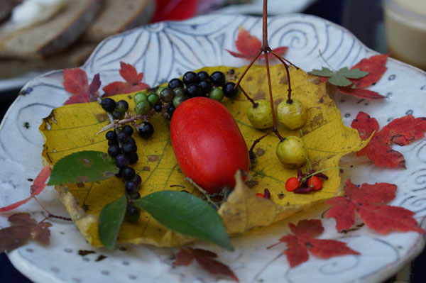 仲本律子　陶芸作品　女性陶芸家　焼き物　笠間市　粉引作品　紅葉　木の実