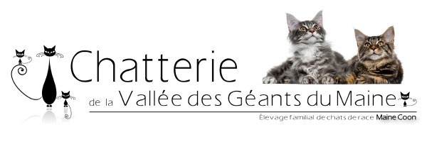 Site de chatterievalleedesgeantsdumaine !
