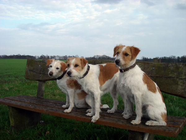 Ekna, Deetje und Nuby