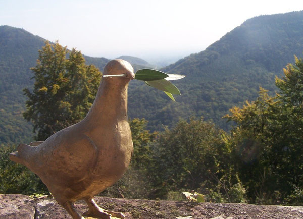 Die Siebenpfeiffer-Friedenstaube mit einem echten Olivenzweig - im Hintergrund der schöne Pfälzer Wald
