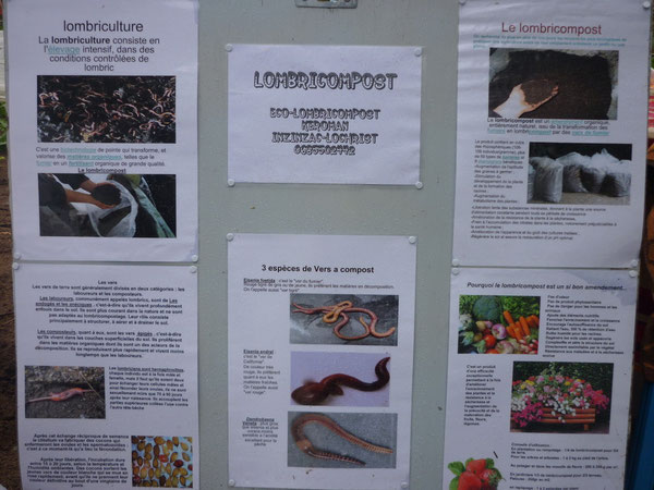 informations sur le lombricompost