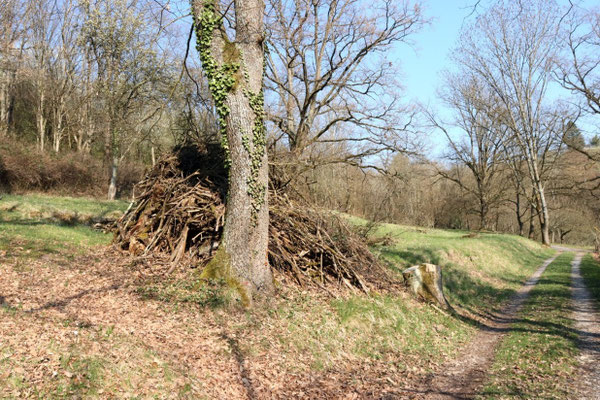 Holzhaufen vor der Aktion