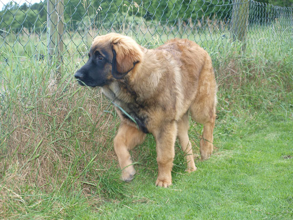 14.06.2014 Gretje