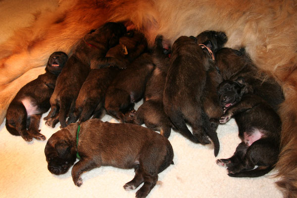 21.07.2011 Propper Babys, fast 1 Woche alt