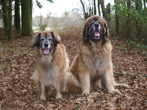 30.12.2015 Kleiner Spaziergang