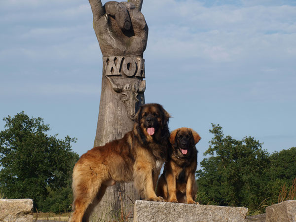 26.06.2014 Zolo u. Gretje