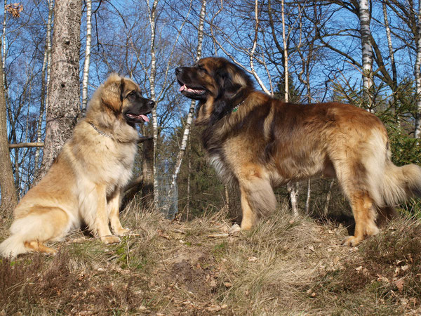 11.03.2015 Fjordi u. Zolo