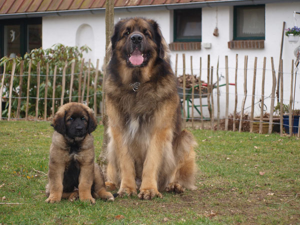 28.02.2014 Papa Zolo und Gretje