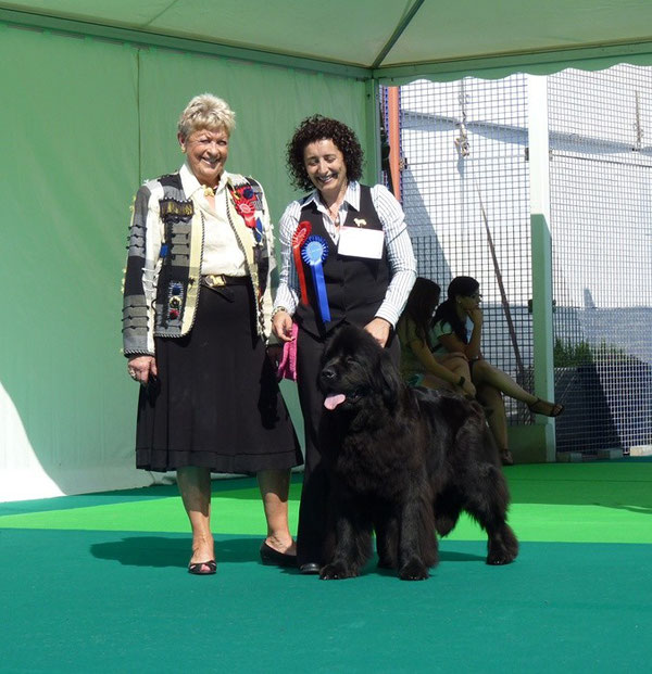 Bombon proclamandose campeona de Gibraltar.