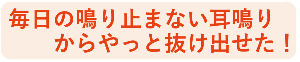 毎日鳴り続けていた耳鳴りが改善されました。大井町やなぎ整体院