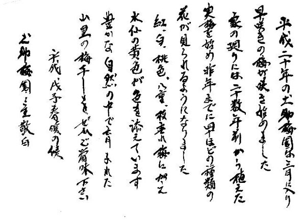 土助梅園の書 平成20年