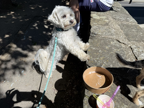 Mo: Gib den Becher wieder her, da ist noch was drin!