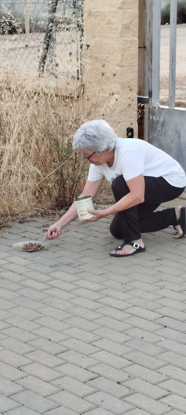 Rosi bei ihrer täglichen Fütterungstour