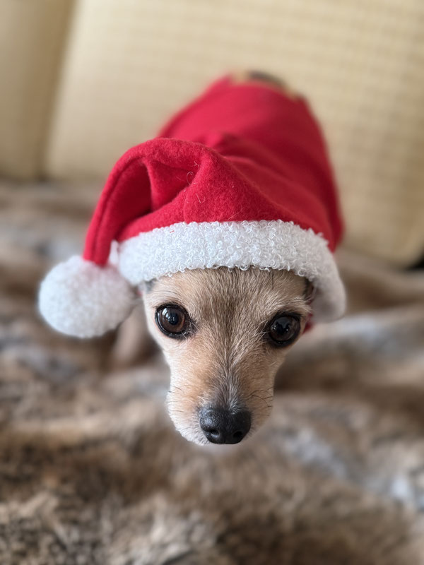 Frohe, gesunde und fröhliche Weihnachten Euch allen!