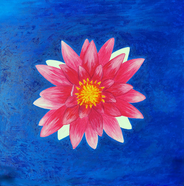 Seerose/Water lily, Oel auf Leinwand/Oil on canvas, 50x50 cm, 2017.