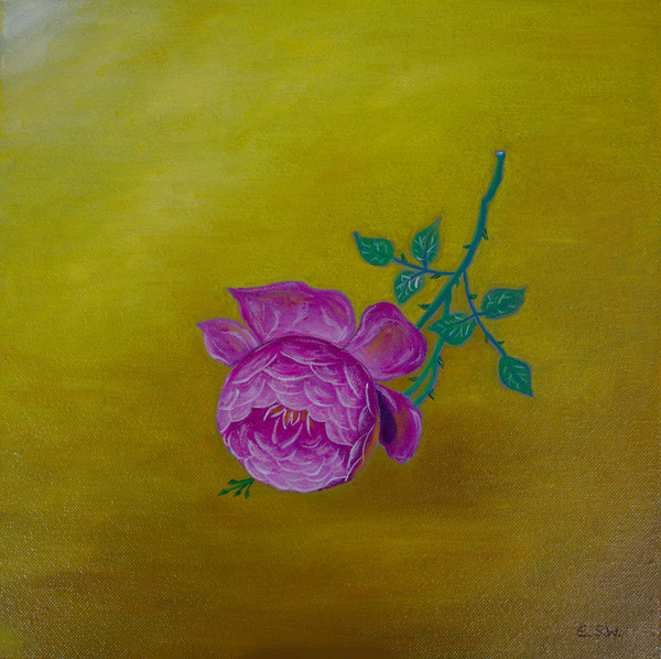 Rose, Oel auf Leinwand/Oil on canvas, 30x30cm, 2017.