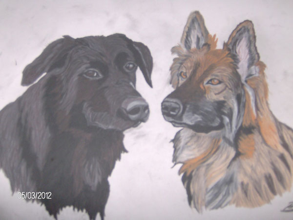 Balu - Labradormix und Cora - Schäferhündin