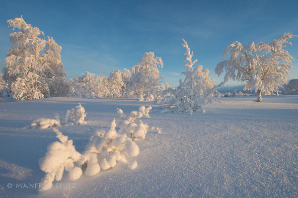 Winterlandschaft in Finnland