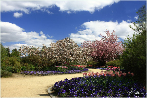 Arboretum