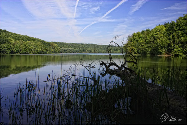 Mein Nordic Walking Paradies