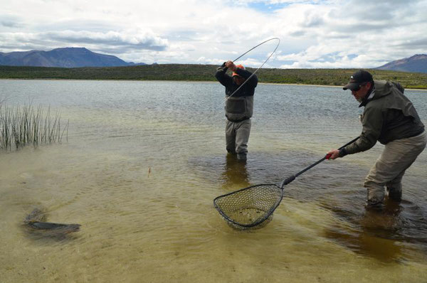 Fly fish Central Patagonia, Argentina, FFTC.club destination, El Encuentro Fly Fishing partnered Tres Valles Lodge, Fly fish freshwater destinations. Wild and Trophy Trout. Big fish at Rio Pico area.