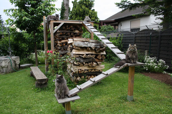 Sommer 2013
