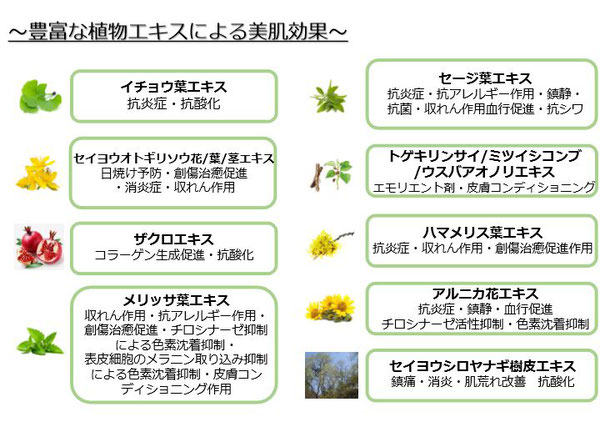 痛くない吉祥寺の脱毛サロン Dione吉祥寺店 豊富な植物エキスによる美肌効果に期待
