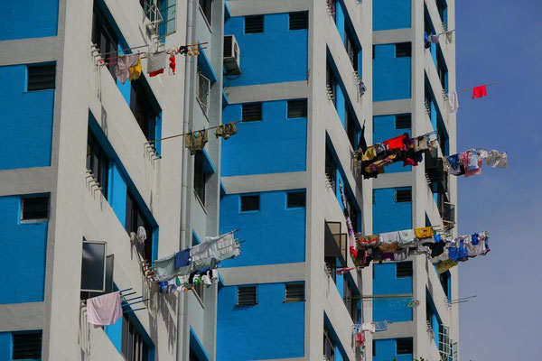 シンガポールは国民の8割がマンション住まいの為、これが一般的な洗濯物の干し方なのです。下着もなんでも丸見えやし、飛んでいくし。
