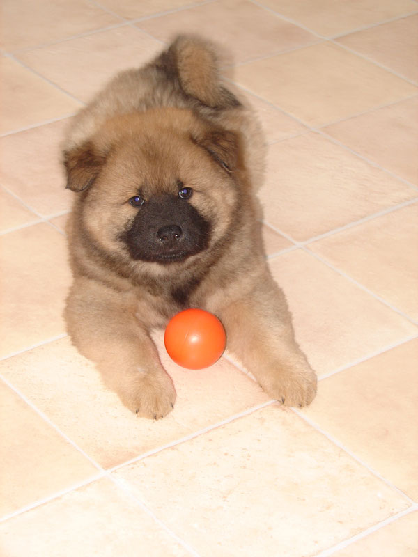 Das ist jetzt SEIN Ball