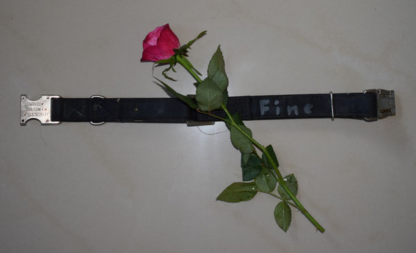 Ihr Halsband bleibt nun leer