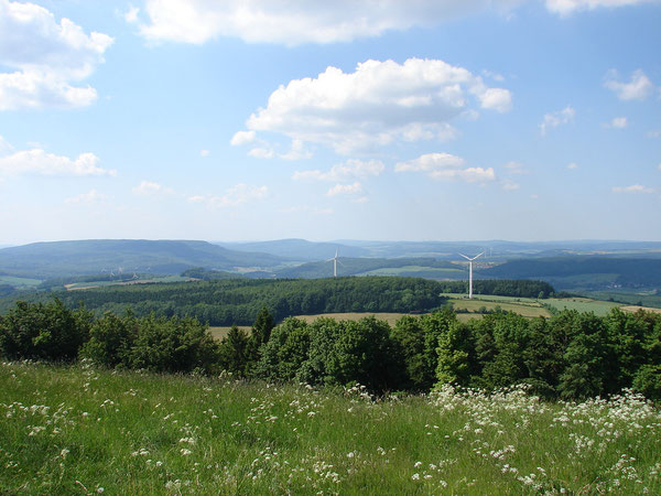 Ausblick vom Köterberg