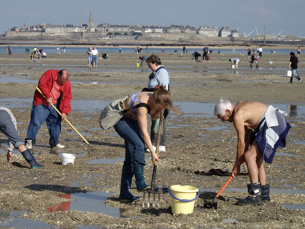 Imagirance Pêcheurs à pieds à marée basse. Grandes marées