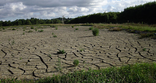 Lagunage de la vase de la Rance à la Hisse, vase de la rance, envasement.