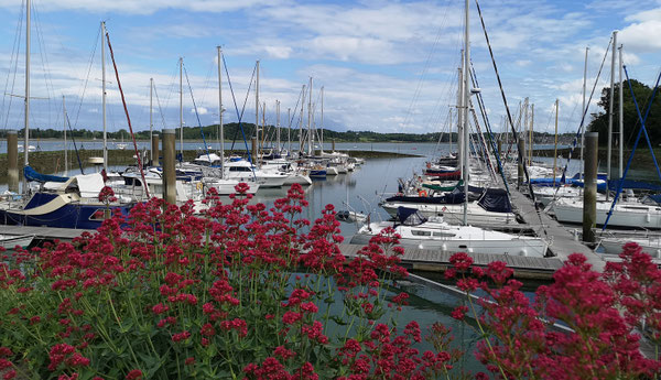 Imagirance- Port de Plouër sur Rance