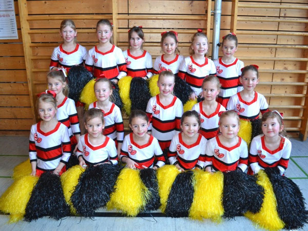 Saison 2014 Fantastics Motto: Cheerleader