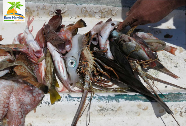 Buena Pesca