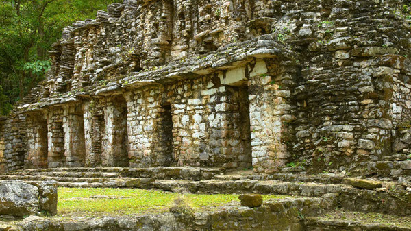 SALADE MEXICAINE Site De Claude77repaspourtous