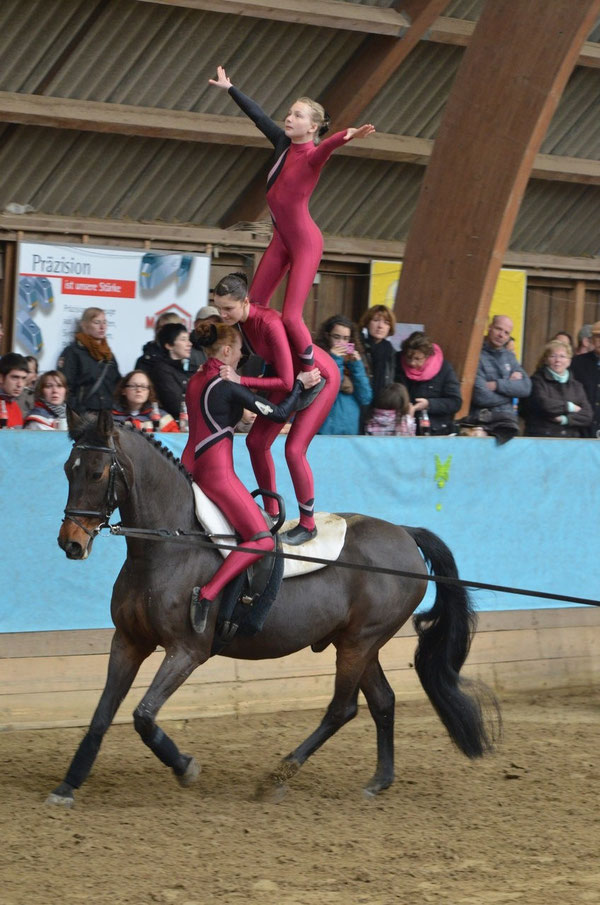 Leoli ist wieder da!  Gelungene Rückkehr in den Turniersport nach einjähriger Verletzungspause! Auf dem Foto mit dem Juniorteam .