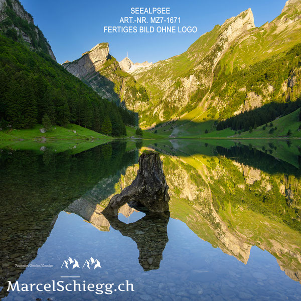 Marcel Schiegg, Marcel Schiegg Fotografie, Wandbild, Wandbilder, Wanddekoration, Leinwandbild, AluDibond, Seealpsee, Alpstein, Alpsteinfotograf