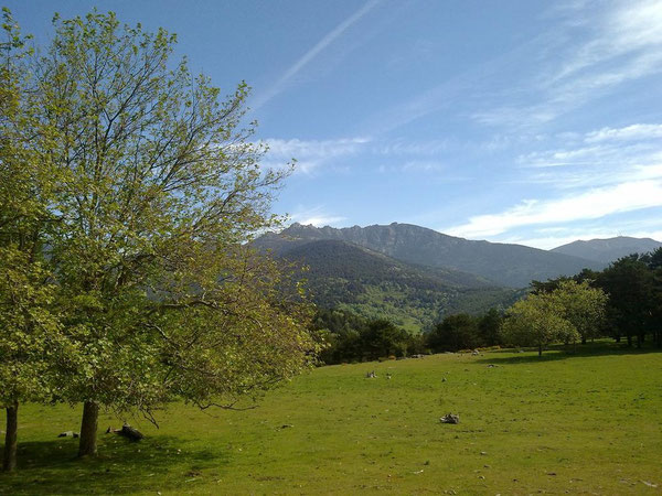 Praderas del valle; al fondo, Siete Picos