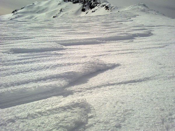 Lenguas de hielo petrificadas en el viento