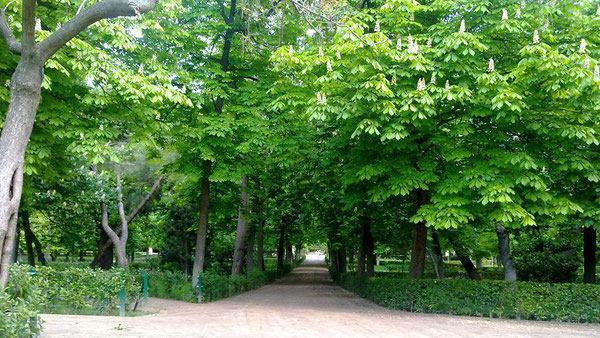 No nos pongamos intensos ni melodramáticos: al final del camino sólo hay más caminos