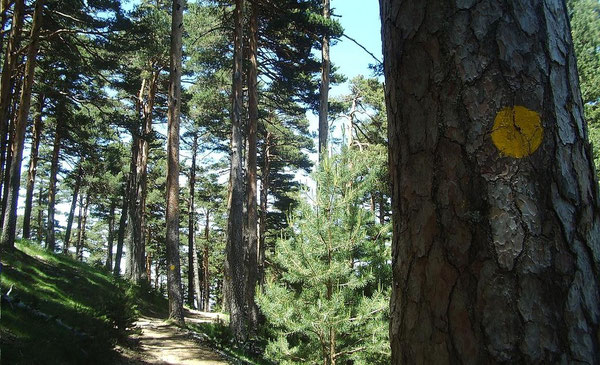 Por este sendero... o por cualquier otro