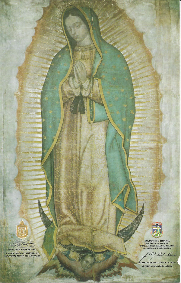 Tilma di Guadalupe, apparizione della Madonna nel 1531 in Messico (scansione da riproduzione autenticata).