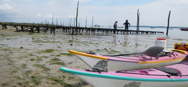 Rencontrer...  (L'herbe- Cap Ferret - Fred G)