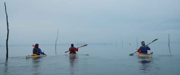 Kayak de mer bassin d'Arcachon