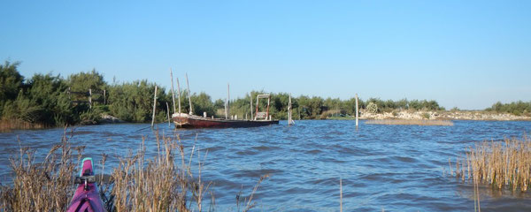 En fond de bassin, une plate attend son heure ©FredG