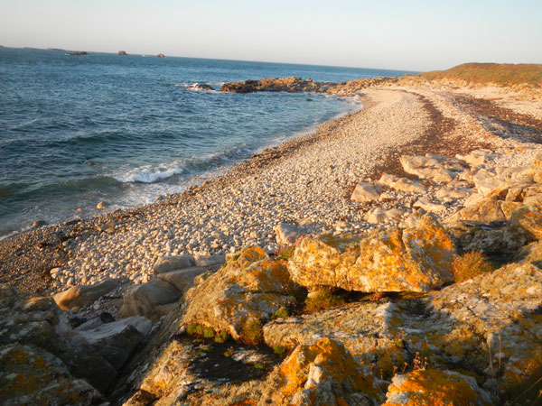 Ile de Molène; Grève de la plage ouest  - Oct 2014 - ©FredG