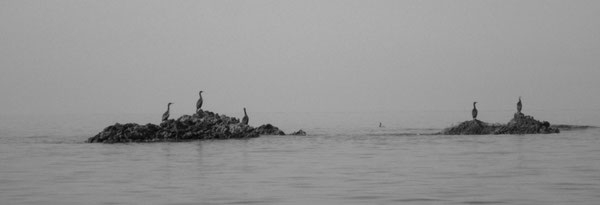 Kayak de mer