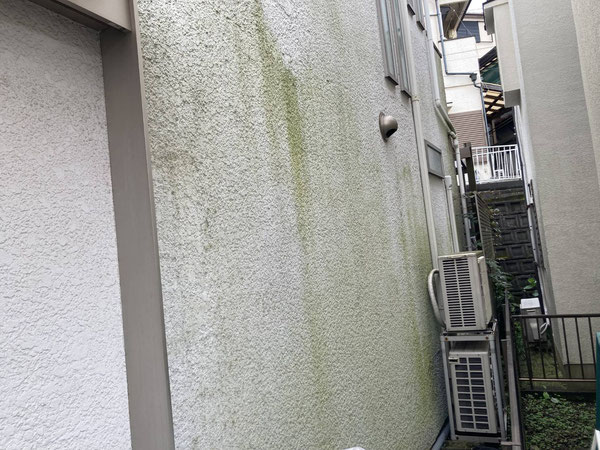 北面の外壁にありがちな変色です。犯人はコケやカビです。